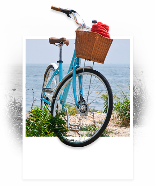 cta-velo