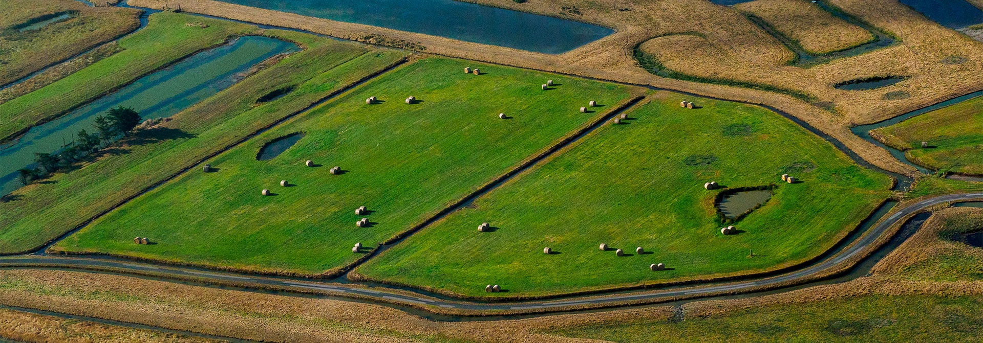 salines-de-la-barre-de-monts-vendee