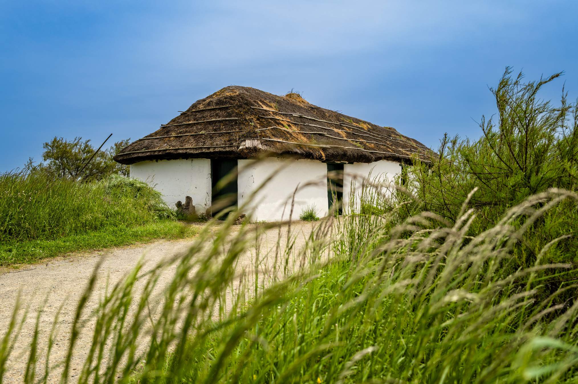 img-1 FRANCE - LE DAVIAUD - VENDEE EXPANSION