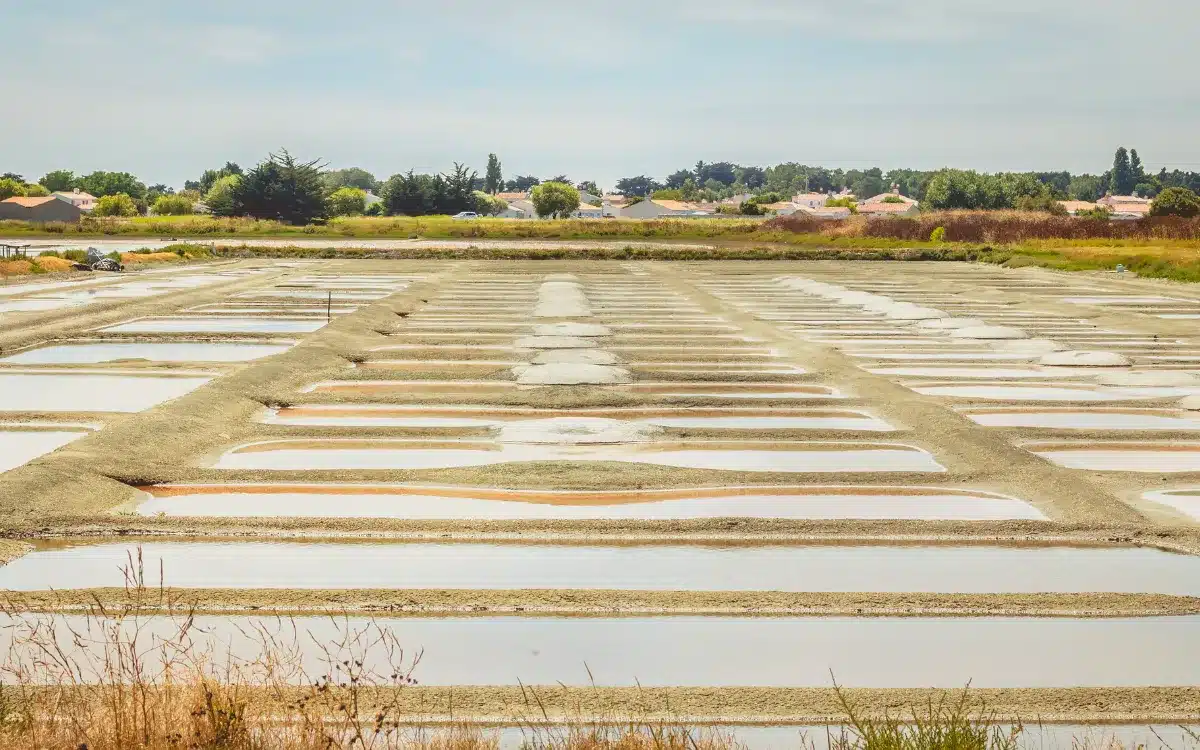marais salants noirmoutier